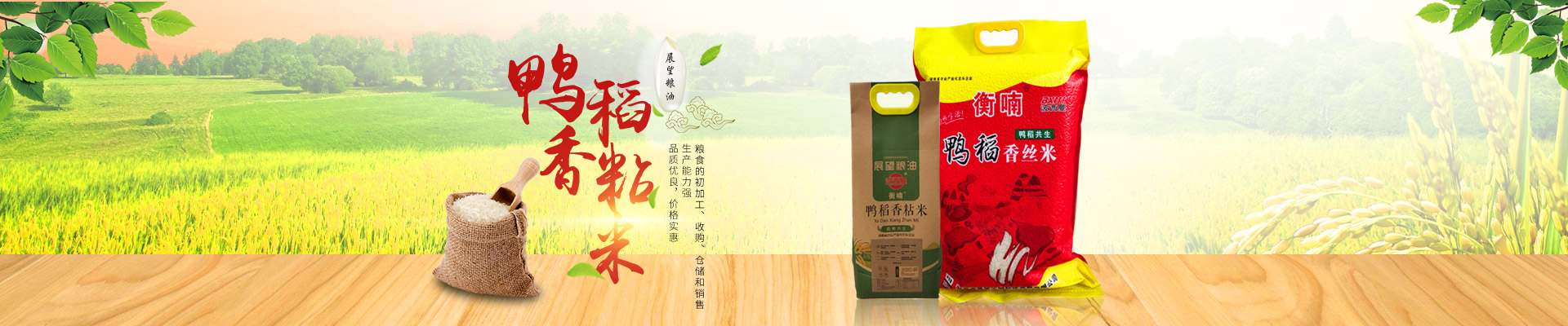 湖南省388vip太陽集團生物科技發展有限公司_農副產品加工|糧食收購