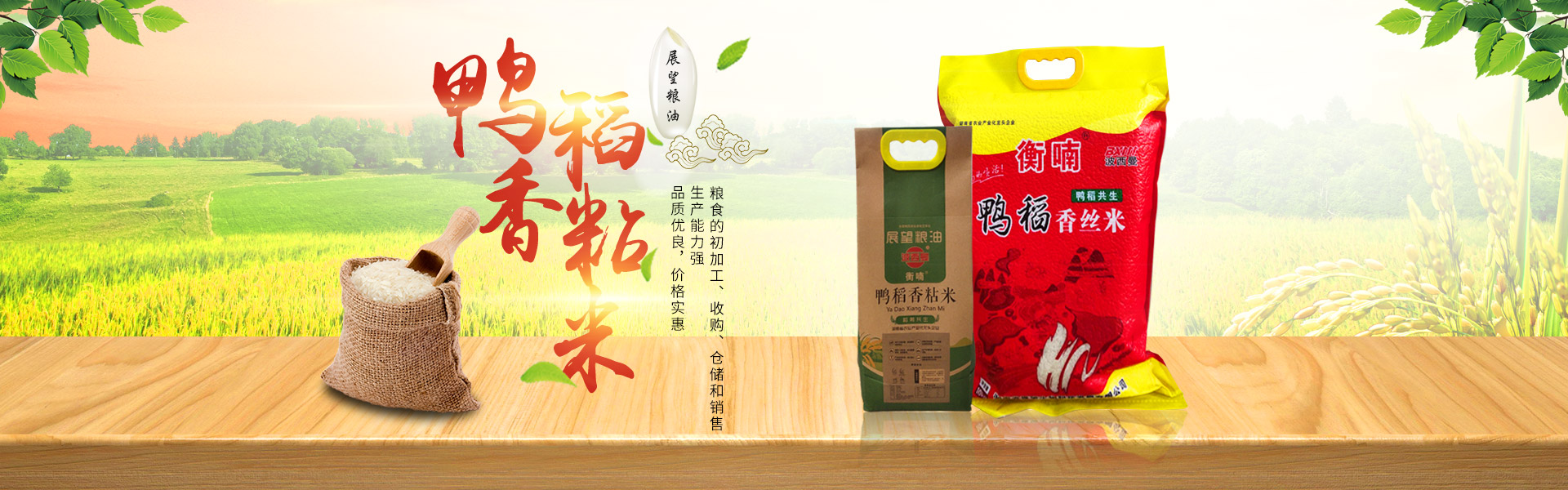 湖南省388vip太陽集團生物科技發展有限公司_農副產品加工|糧食收購