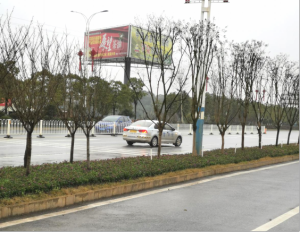 農副產品加工,糧食收購,油料的種植,湖南省388vip太陽集團生物科技發展有限公司 農副產品加工,糧食收購,油料的種植,湖南省388vip太陽集團生物科技發展有限公司